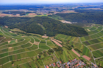 Luftbild von Fränkischer Weinberg "Hönigsbergm -Fischberg" an der Ortschaft am Main in Thüngersheim im Bundesland Bayern, Deutschland