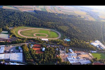 Speedway der MSV im Wald in Herxheim bei Landau im Bundesland Rheinland-Pfalz, Deutschland