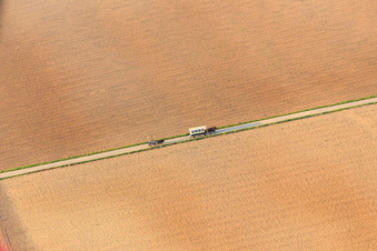 Planwagenausfahrt mit Pferden in Herxheim bei Landau im Bundesland Rheinland-Pfalz, Deutschland