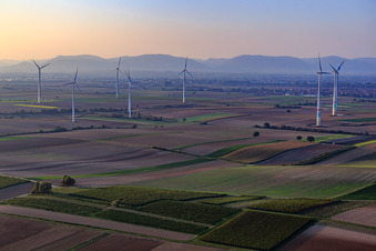 Windpark von Südosten in Offenbach an der Queich im Bundesland Rheinland-Pfalz, Deutschland