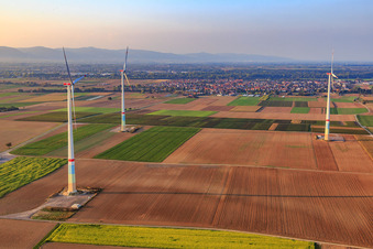 Windpark von Süden in Herxheim bei Landau im Bundesland Rheinland-Pfalz, Deutschland