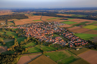 Luftaufnahme von Dorfansicht von Nordwesten in Steinweiler im Bundesland Rheinland-Pfalz, Deutschland