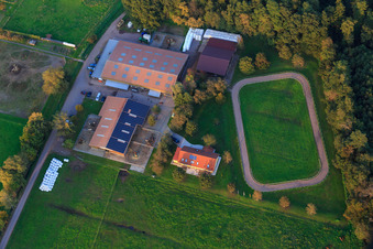 Islandpferde-Gestüt Bienwald in Freckenfeld im Bundesland Rheinland-Pfalz, Deutschland