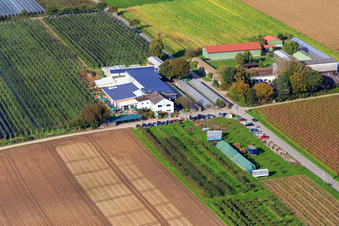 Zapf Hofmarkt, Obst und Spargelhof, Hofcafé Zapf in Kandel im Bundesland Rheinland-Pfalz, Deutschland