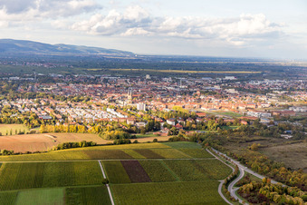 Ortsansicht der Straßen und Häuser der Wohngebiete in Landau in der Pfalz im Bundesland Rheinland-Pfalz, Deutschland