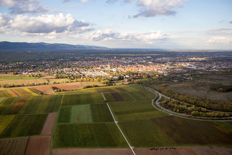 Westlich des Ebenberg in Landau in der Pfalz im Bundesland Rheinland-Pfalz, Deutschland