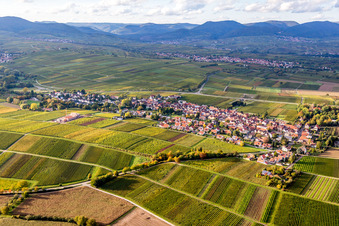 Herbstliche verfärbte Vegetationsansicht Dorf - Ansicht am Rande von Weinbergen in Wollmesheim in Landau in der Pfalz im Bundesland Rheinland-Pfalz, Deutschland
