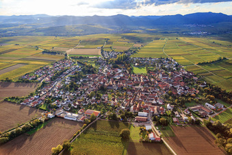 Ortsansicht zwischen herbstlichen Weinbergen aus Osten im Ortsteil Mörzheim in Landau in der Pfalz im Bundesland Rheinland-Pfalz, Deutschland