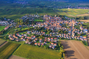 Ortsübersicht zwischen herbstlichen Weinbergen aus Süden im Ortsteil Mörzheim in Landau in der Pfalz im Bundesland Rheinland-Pfalz, Deutschland