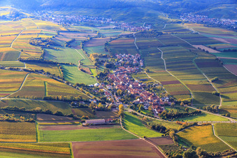 Dorfüberischt zwischen herbstlichen Weinbergen von Osten in Niederhorbach im Bundesland Rheinland-Pfalz, Deutschland