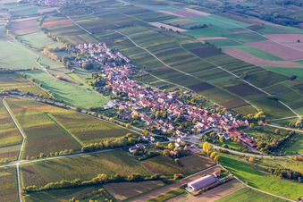 Dorf - Ansicht am Rande von landwirtschaftlichen Feldern und Nutzflächen in Niederhorbach im Bundesland Rheinland-Pfalz, Deutschland