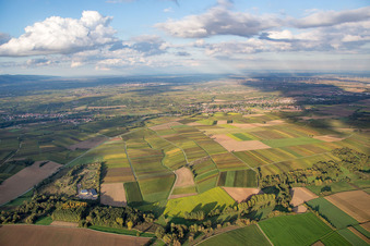 Billigheim-Ingenheim von Süden im Bundesland Rheinland-Pfalz, Deutschland