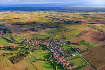 Dorfüberischt zwischen herbstlichen Weinbergen von Nordwesten in Oberhausen im Bundesland Rheinland-Pfalz, Deutschland