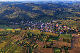 Luftbild von Dorfansicht zwischen herbstlichen Weinbergen von Süden in Oberotterbach im Bundesland Rheinland-Pfalz, Deutschland