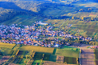 Rotackerweg zwischen herbstlichen Weinbergen von Süden in Oberotterbach im Bundesland Rheinland-Pfalz, Deutschland