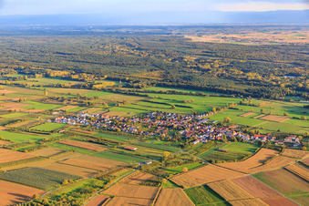 Dorfansicht zwischen herbstlichen Feldern und Wiesen von Norden in Schweighofen im Bundesland Rheinland-Pfalz, Deutschland