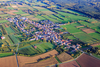 Dorfübersicht zwischen herbstlichen Feldern und Wiesen mit Kirche St. Laurentius von Nordwesten in Schweighofen im Bundesland Rheinland-Pfalz, Deutschland
