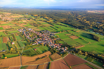 Luftbild von Dorfübersicht zwischen herbstlichen Feldern und Wiesen mit Kirche St. Laurentius von Nordwesten in Schweighofen im Bundesland Rheinland-Pfalz, Deutschland