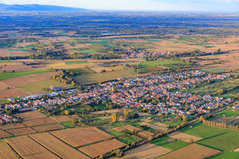Dorfübersicht zwischen herbstlichen Feldern und Wiesen von Westen in Steinfeld im Bundesland Rheinland-Pfalz, Deutschland