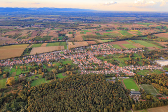 Dorfansicht zwischen herbstlichen Feldern und Wiesen am Rand des Bienwalds von Süden im Ortsteil Schaidt in Wörth am Rhein im Bundesland Rheinland-Pfalz, Deutschland