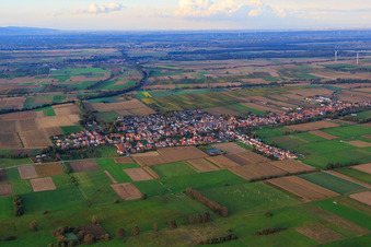 Luftbild von Dorfübersicht zwischen herbstlichen Feldern und Wiesen am Viehstrich von Süden in Freckenfeld im Bundesland Rheinland-Pfalz, Deutschland