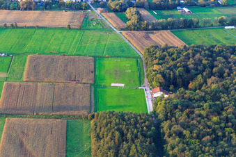 Stadion des TSV 1908 Freckenfeld am Rand des Bienwalds von Süden im Bundesland Rheinland-Pfalz, Deutschland