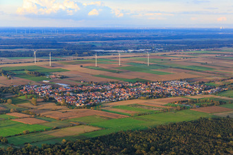 Dorfübersicht zwischen herbstlichen Feldern und Wiesen am Viehstrich von Süden in Minfeld im Bundesland Rheinland-Pfalz, Deutschland