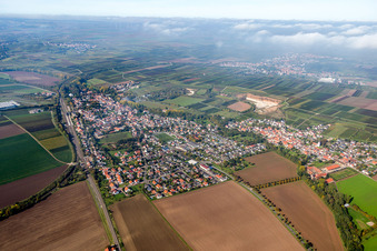 Dorf - Ansicht am Rande von landwirtschaftlichen Feldern und Nutzflächen in Monsheim im Bundesland Rheinland-Pfalz, Deutschland
