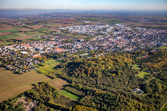 Luftbild von Grünstadt von Nordwesten im Bundesland Rheinland-Pfalz, Deutschland