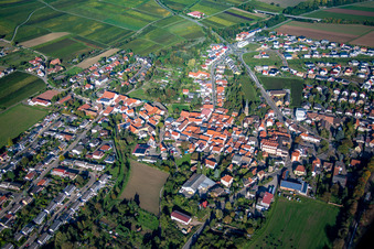 Luftbild von Ortsansicht der Straßen und Häuser der Wohngebiete im Ortsteil Asselheim in Grünstadt im Bundesland Rheinland-Pfalz, Deutschland