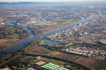 Insel am Ufer des Flußverlaufes des Rhein und des Friesenheimer Altrheins im Ortsteil Friesenheimer Insel in Mannheim im Ortsteil Neckarstadt-West im Bundesland Baden-Württemberg, Deutschland