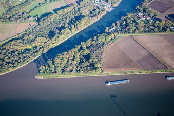 Friesenheimer Altrhein im Ortsteil Neckarstadt-West in Mannheim im Bundesland Baden-Württemberg, Deutschland