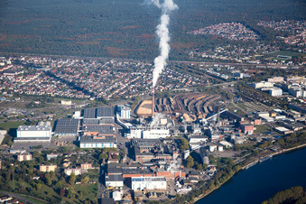 Essity Operations im Ortsteil Sandhofen in Mannheim im Bundesland Baden-Württemberg, Deutschland