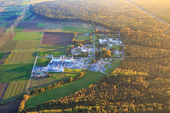 Erdgasanlagen am Waldrand der Open Grid Europe GmbH im Ortsteil Allmendfeld in Gernsheim im Bundesland Hessen, Deutschland