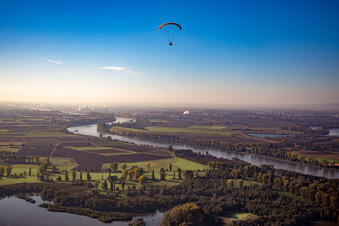 Lampertheimer Rhein im Bundesland Hessen, Deutschland