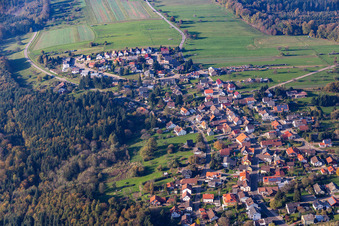 Ortsteil Freiolsheim in Gaggenau im Bundesland Baden-Württemberg, Deutschland von oben