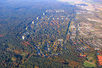 Stadtansicht im Wald aus Süden im Ortsteil Waldstadt in Karlsruhe im Bundesland Baden-Württemberg, Deutschland