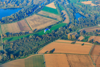 Paraglider über den Rheinauen am Altrhein im Ortsteil Eggenstein in Eggenstein-Leopoldshafen im Bundesland Baden-Württemberg, Deutschland