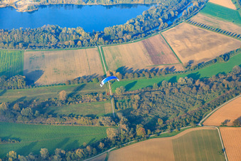 Luftbild von Paraglider über den Rheinauen am Altrhein im Ortsteil Eggenstein in Eggenstein-Leopoldshafen im Bundesland Baden-Württemberg, Deutschland