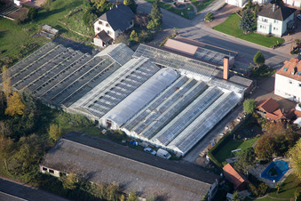Drohnenaufname von Niederrœdern im Bundesland Bas-Rhin, Frankreich