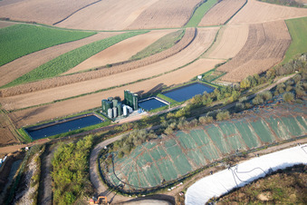Drohnenbild von Schaffhouse-près-Seltz im Bundesland Bas-Rhin, Frankreich