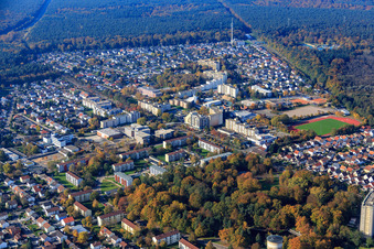 Ortsteil Dorschberg mit IGS Wörth: Carl-Benz-Gesamtschule, Grundschule Dorschberg, Europa Gymnasium Wörth und Rathaus Stadt Wörth am Rhein im Bundesland Rheinland-Pfalz, Deutschland
