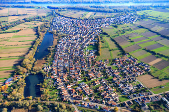 Dorfansicht am Tankgraben aus Westen in Neuburg am Rhein im Bundesland Rheinland-Pfalz, Deutschland