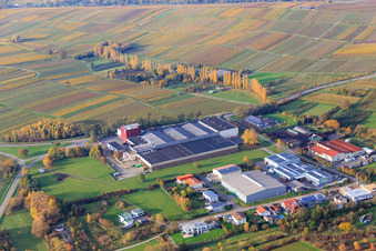 Großkelterei Kleine Kalmit in Ilbesheim bei Landau im Bundesland Rheinland-Pfalz, Deutschland