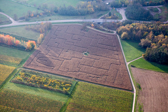 Irrgarten - Maisfeld-Labyrinth auf einem Feld in Göcklingen im Bundesland Rheinland-Pfalz, Deutschland
