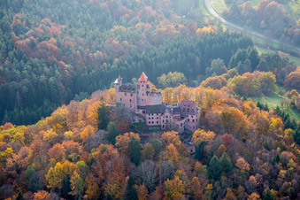 Erlenbach, Burg Berwartstein in Erlenbach bei Dahn im Bundesland Rheinland-Pfalz, Deutschland von oben