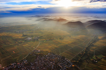 Herbstlich verfärbte Weinberge im abendlichen Dunst des Pfälzerwalds in Ilbesheim bei Landau im Bundesland Rheinland-Pfalz, Deutschland