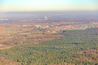Stadtansicht hinterm Wald in Rülzheim im Bundesland Rheinland-Pfalz, Deutschland