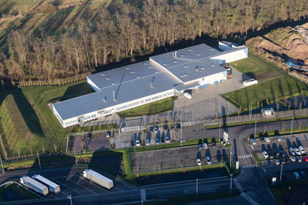 Gebäude und Produktionshallen auf dem Werksgelände Plastic Omnium Composites GmbH Kandel und Thermo Fisher Scientific in Kandel im Ortsteil Minderslachen im Bundesland Rheinland-Pfalz, Deutschland
