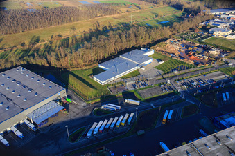 Schrägluftbild von Gewerbegebiet Horst, Alfa Aesar GmbH im Ortsteil Minderslachen in Kandel im Bundesland Rheinland-Pfalz, Deutschland